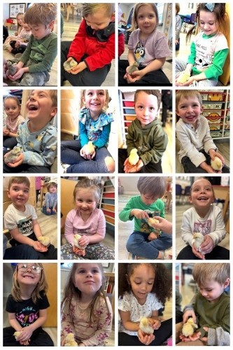 Preschool and Daycare 